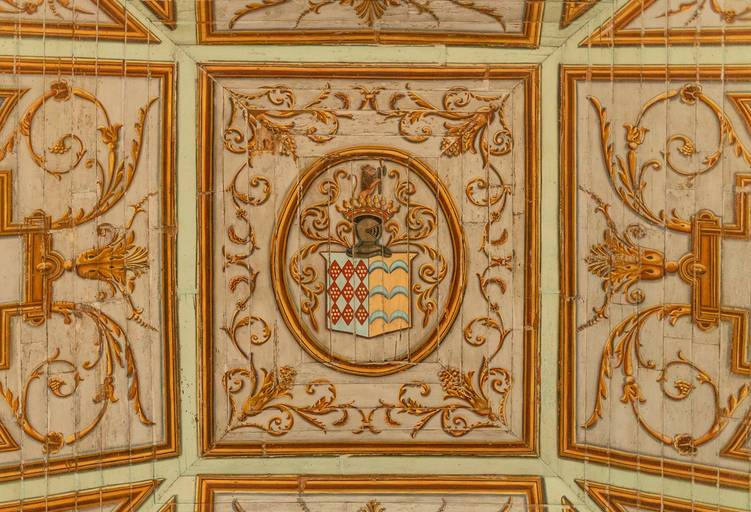 pormenor do teto do palácio dos condes de anadia