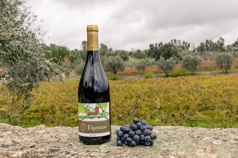 vinho  Júlia Kemper