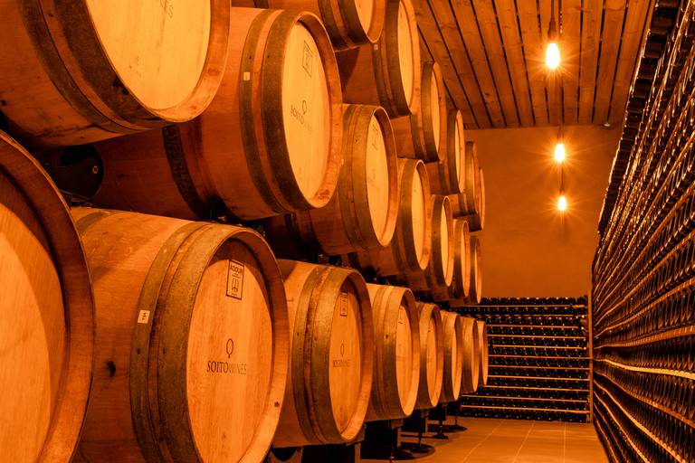 adega da quinta do soito