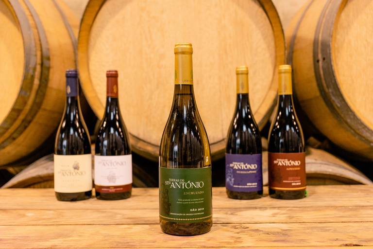 vinho quinta de santo antónio