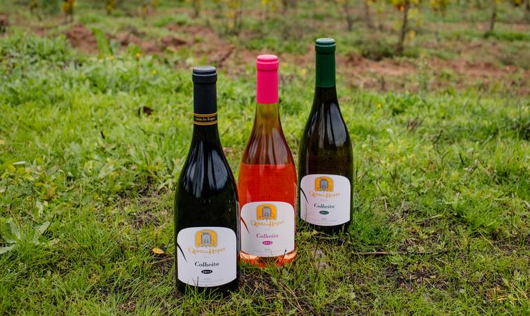 encruzado da quinta dos roques