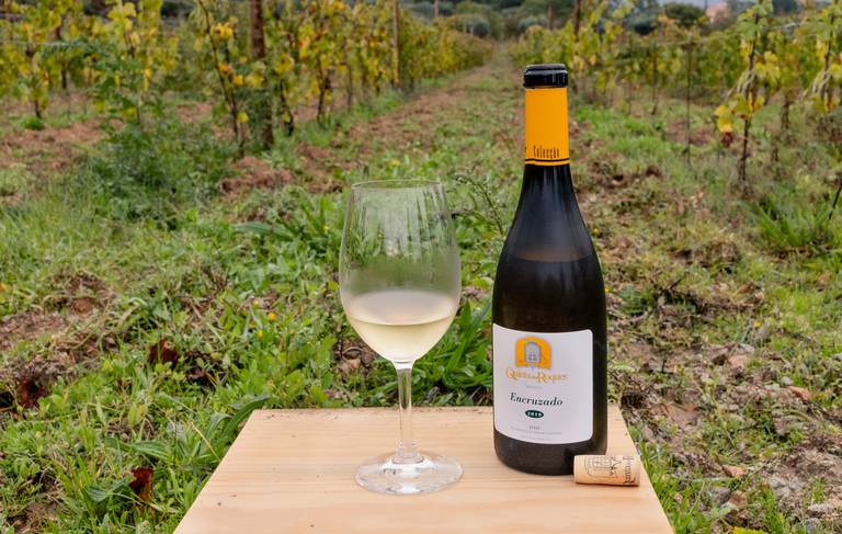 vinho branco quinta dos roques