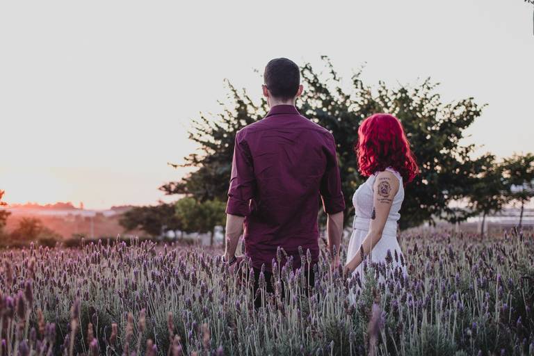 Campo de lavandas - Holambra 