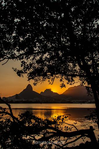 Lagoa