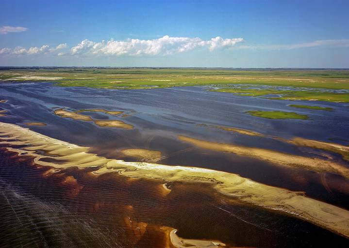 Reserva do Taim - Extremo Sul do Brasil