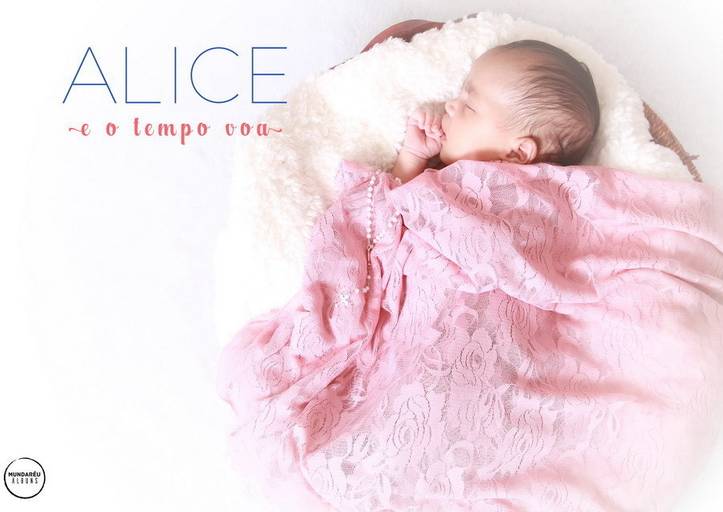 capa álbum de gestante e primeiro ano da Alice São Paulo SP