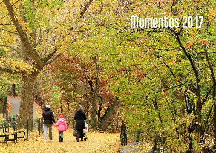 Série anual de álbum de família Momentos capa de 2017