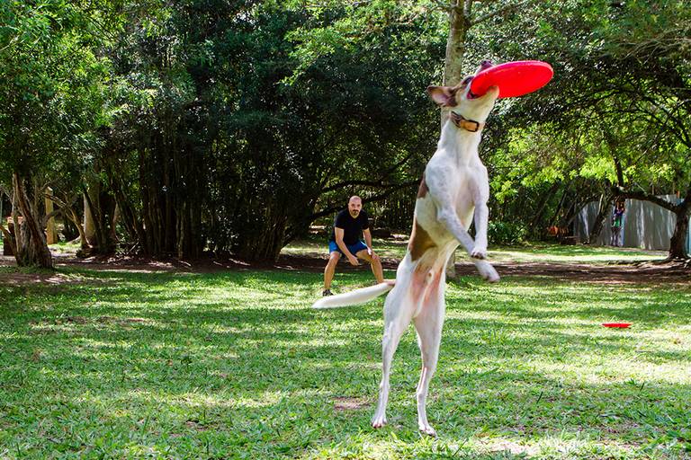 Ensaio Masculino externo parque Gabriel Knijnik