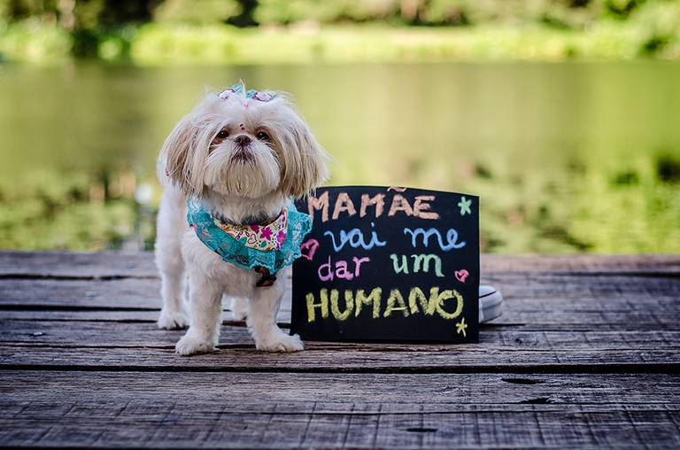 Ensaio gestacional book gestante parque Witeck