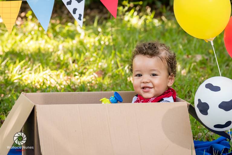 Ensaio Smash the cake do Guilherme