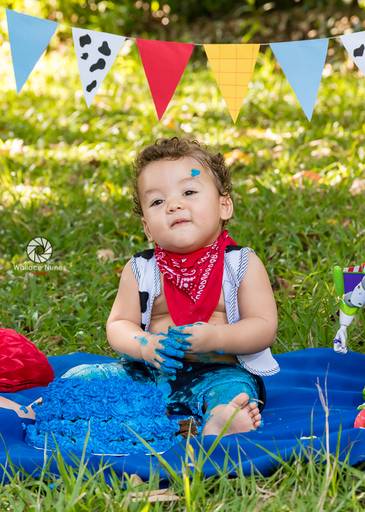 Ensaio Smash the cake do Guilherme