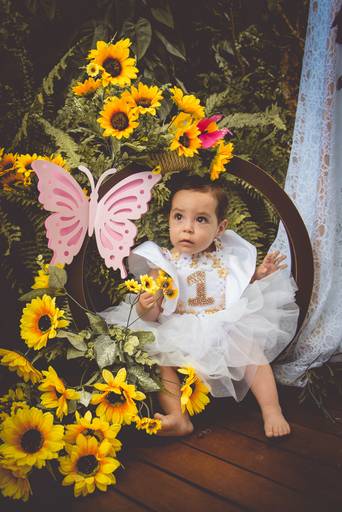  smash the cake Goiânia