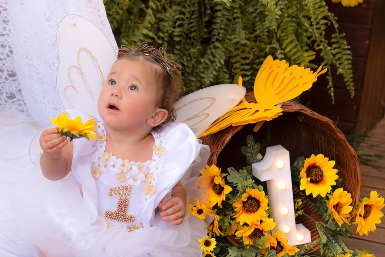  smash the cake Goiânia