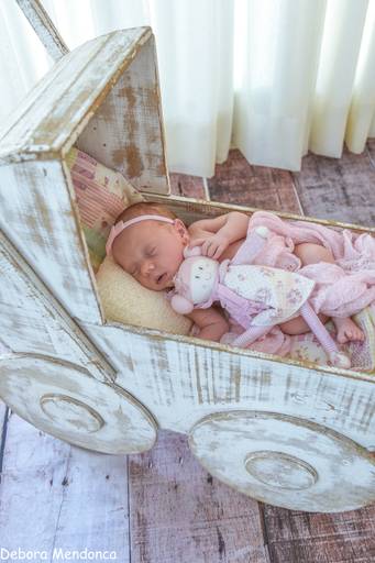 Ensaio newborn Cecilia 17 dias