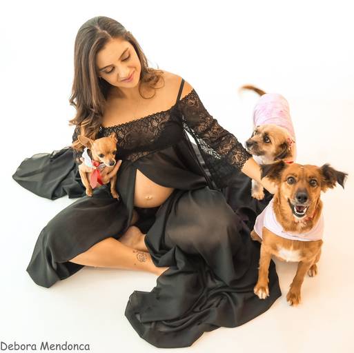 Ensaio gestante pets
