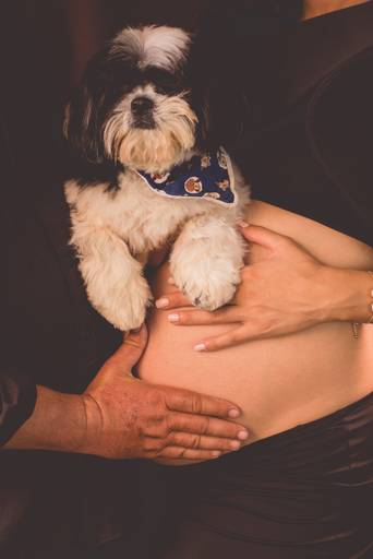 ensaio gestante estúdio