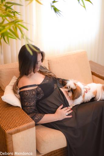 ensaio gestante com Pets