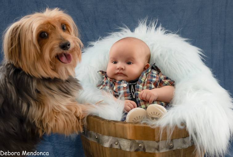 Theo acompanhamento 3 meses