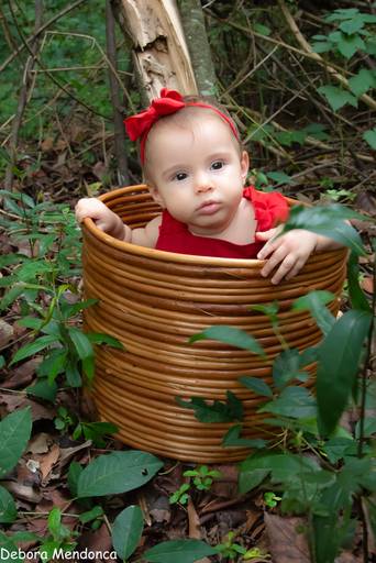 Isabela acompanhamento 6 meses