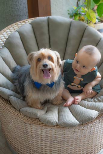 Theo acompanhamento 7 meses