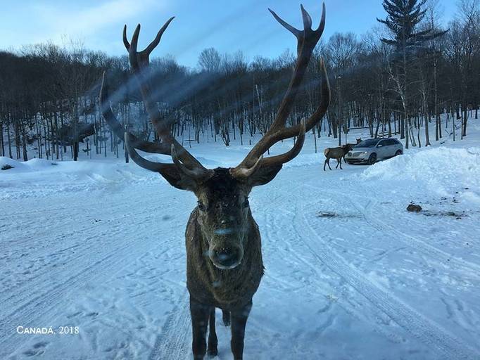 Canadá, 2018