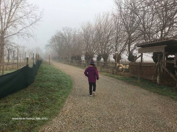Arredores de Florença (Itália, 2019)