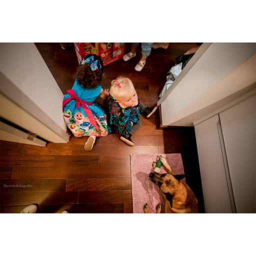 aniversario em casa, festinha na quarentena, ideias de festinha em casa, vestido baby shark, festinha baby shark