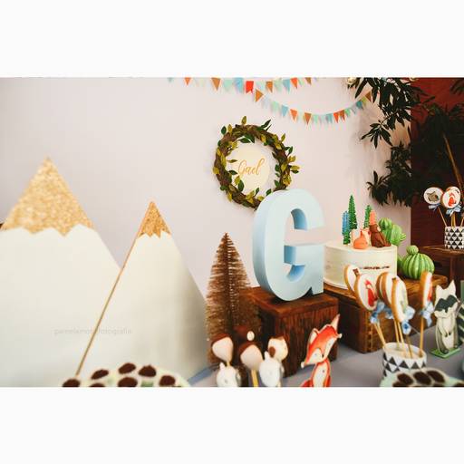 madrica festas, drica gaspas e marcela castro. decoração de festa infantil com o madrica festas