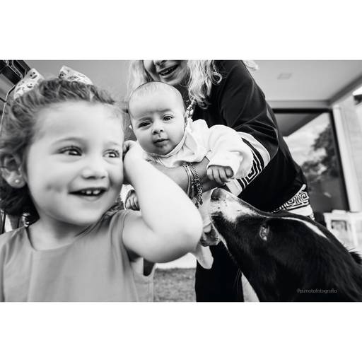 fotos em familia, book familia, fotos com pet, festinha em casa, decor de festa em casa, festinha na quarentena