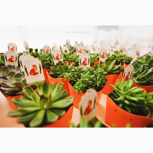 decoração de raposa para esta de menino, Tema floresta para festa menino 