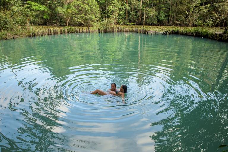 mamãe e papai na Floresta Amazônica à espera da sua filhota - fotografia de gestação