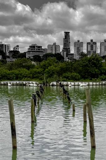 Categoria: Cityscape