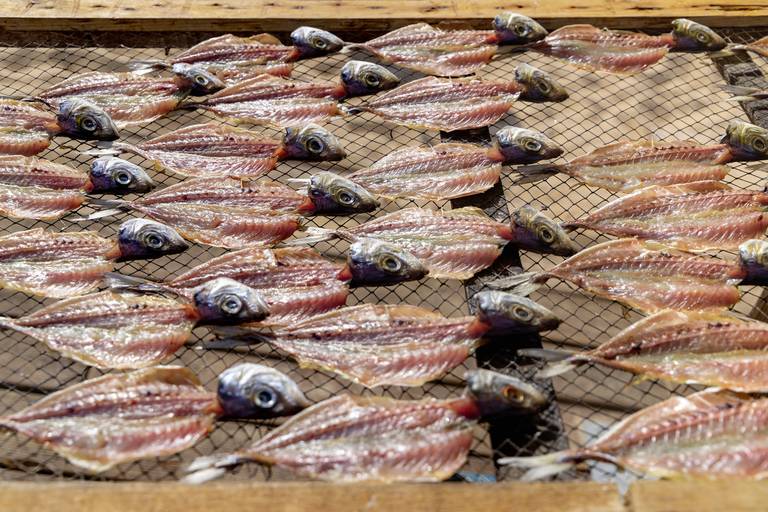 Vendedora de Peixe Seco