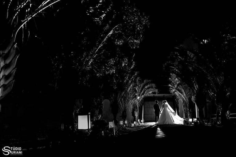 Fotógrafo criativo faz fotos dos noivos após o casamento usando corredor de coqueiros e iluminação da chácara