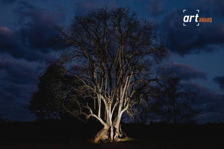 Foto Vencedora - Categoria Livre  Casamentos e Ensaios Nono Concurso Geral - FineArt Association | 2017