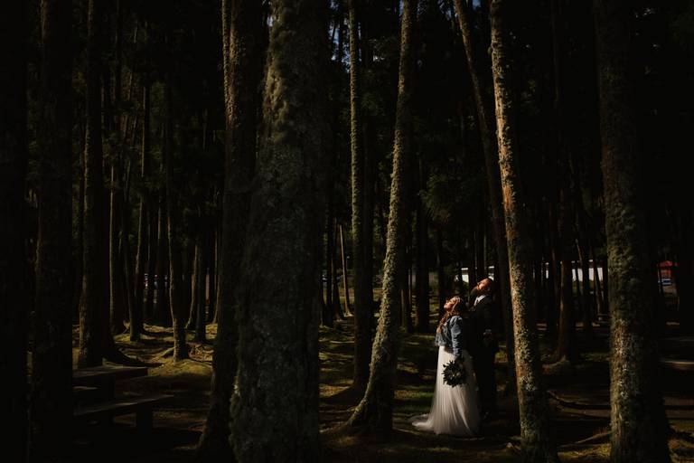 entre as árvores são miguel açores 