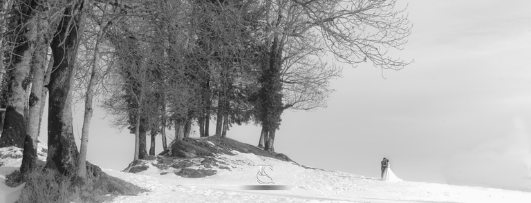 Wedding Destination-Best Photographer-Love the dress-Snow-Swiss