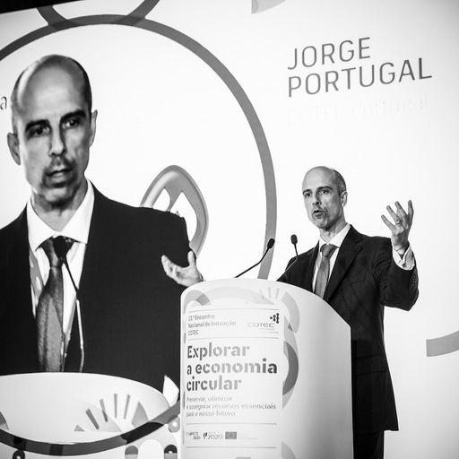Jorge Portugal, Directos geral da COTEC Portugal