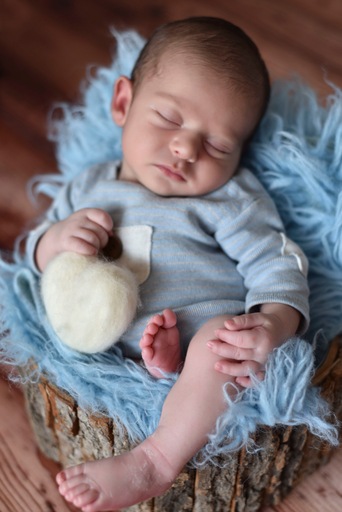melhorfotografanewborn,estudiofotografia,amormaior, odeceixemaravilha,Algarve,fotografianewborn, sweetbabyfotografia,bebe,recemnascido,grávida, maternidade,fotografiafamilia,ramper,mantapeloazul,susananovaisfotografia,asmaisbonitasfotografias,coracao