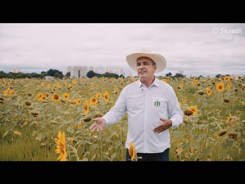 Sicredi Vanguarda - Campo de 🌻🌻🌻