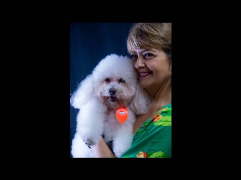 Esse foi para registrar os pets