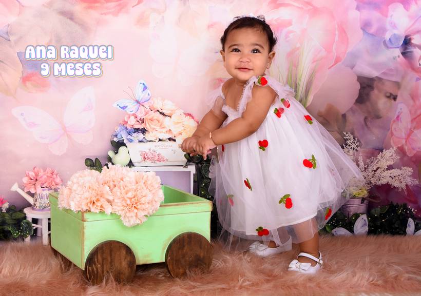 Vaso Flores e Borboletas