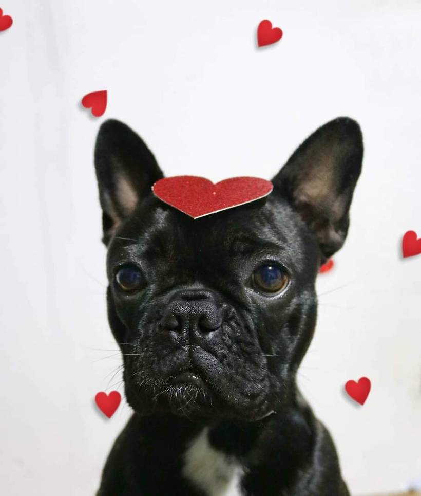 Minnie