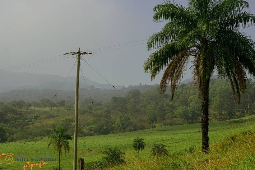 São João da Boa Vista