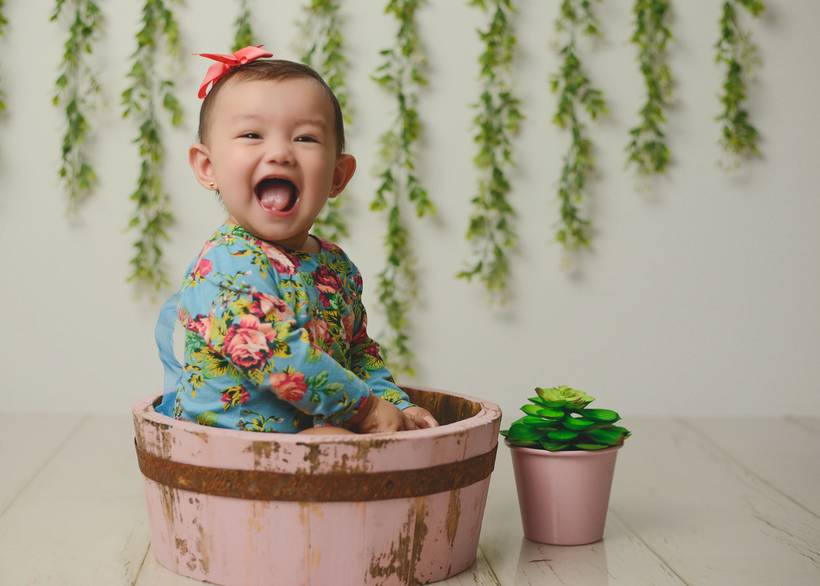 Acompanhamentos Fase a Fase