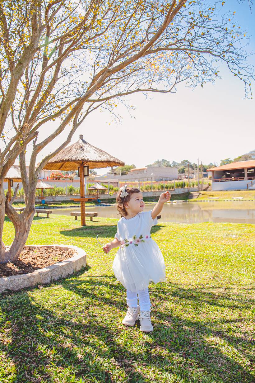 Aniversário Infantil