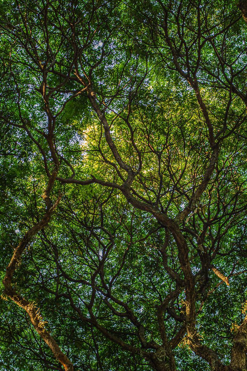 NATUREZA- Outono 