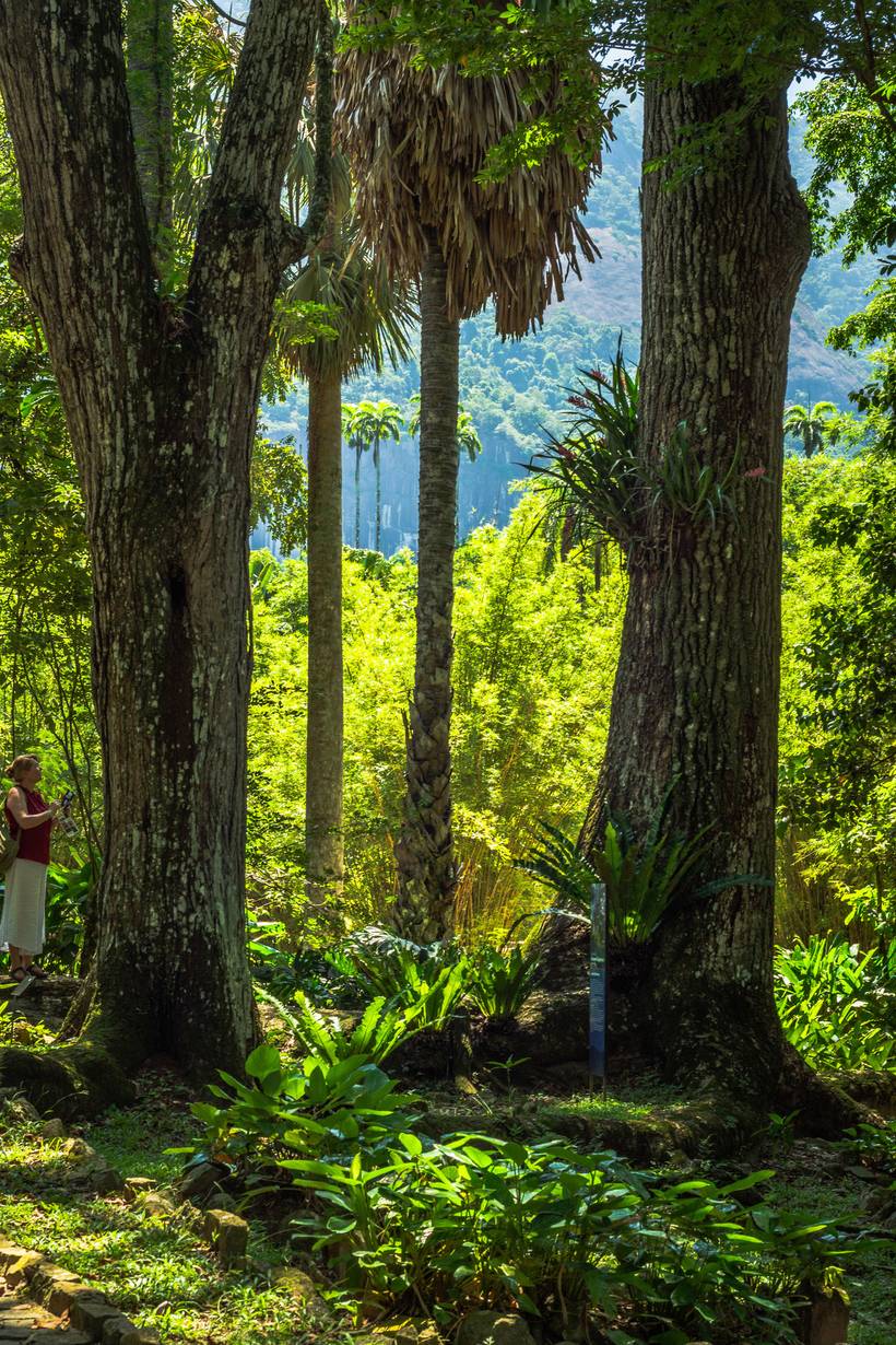  Natureza- Rio e Maringá