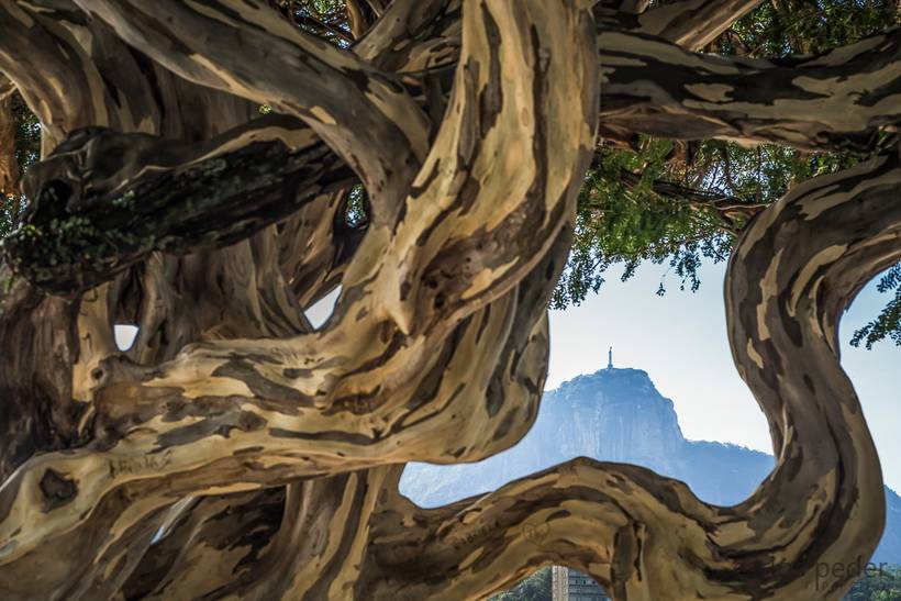  Paisagens - Rio e Maringá