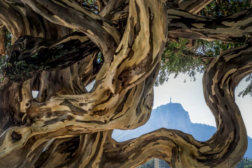 Contrastes do Rio